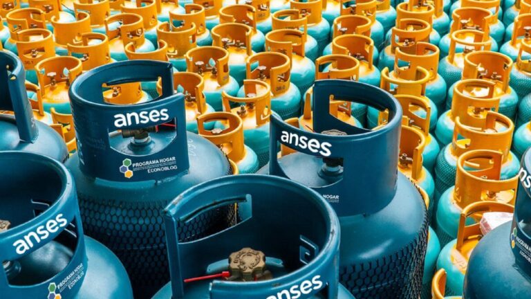 ANSES: los requisitos para acceder al Programa Hogar