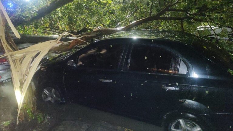 Famosos quedaron atrapados por el temporal en Mar del Plata