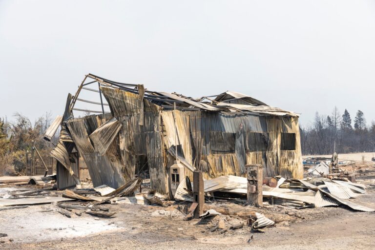 Desoladoras consecuencias del incendio en Mallín Ahogado: Este daño intencional es incalculable