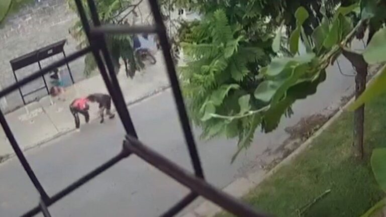 Tortuguitas: motochorros mataron a un joven delante de su pareja y su bebé de 1 año