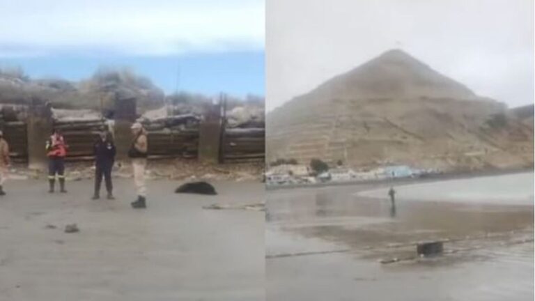 Pescadores corridos de la Costanera