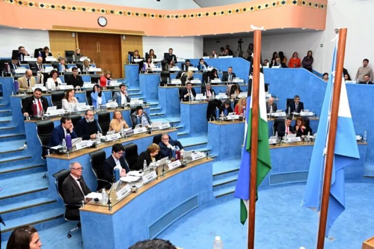 Polémica en una legislatura patagónica: aprobaron el Día del Intendente