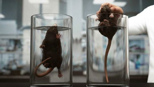 El juicio invisible: una verdad que puede cambiarte