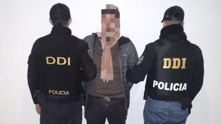 Mar del Plata: detuvieron al hombre que atropelló a una ciclista y se dio a la fuga