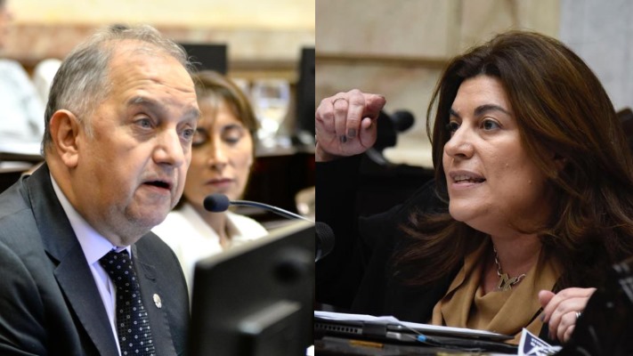 Linares cargó contra Ana Clara