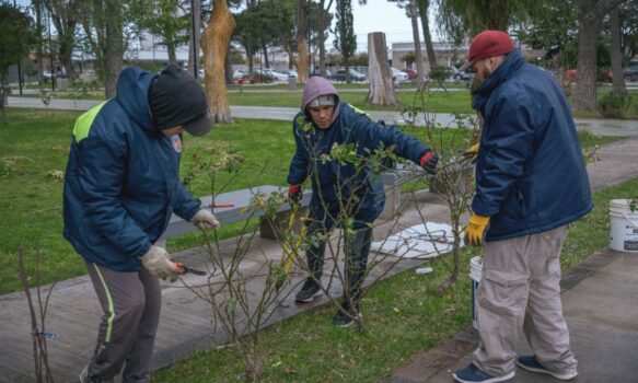 Rawson: la municipalidad trabaja en los últimos días de la temporada de poda urbana