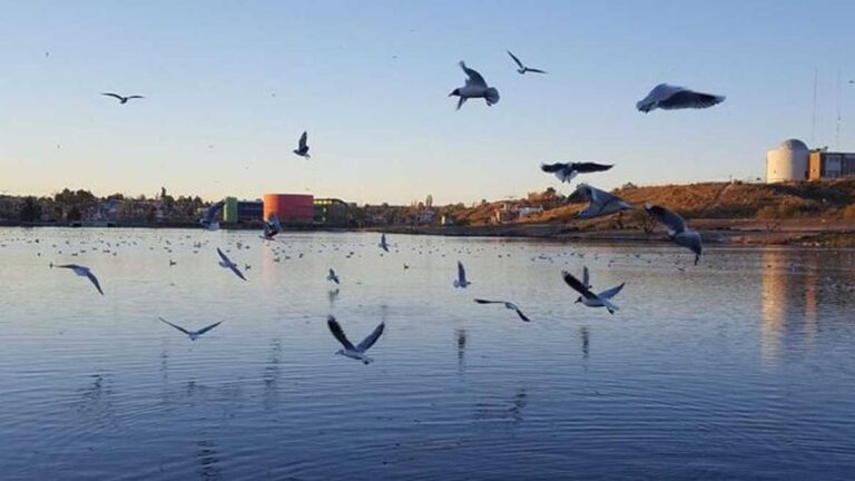 Laguna Chiquichano: Obras para sanear el ecosistema