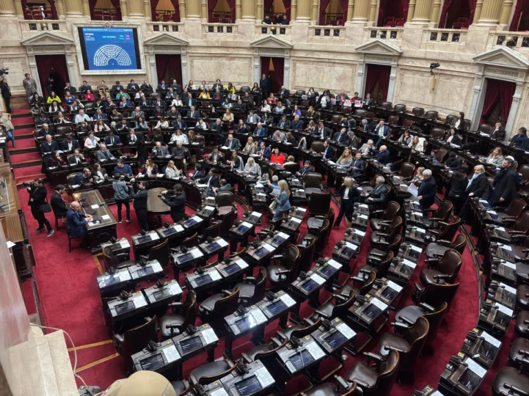 Elecciones 2025: Quiénes son los diputados que buscan renovar su banca?