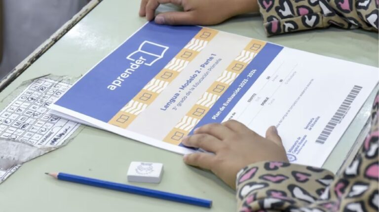 En Chubut, menos de la mitad de los niños de 3 grado logra comprender textos