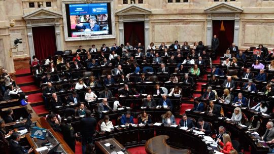Diputados: rechazaron el veto a la emergencia en discapacidad pero el oficialismo logró blindar los aumentos a los jubilados