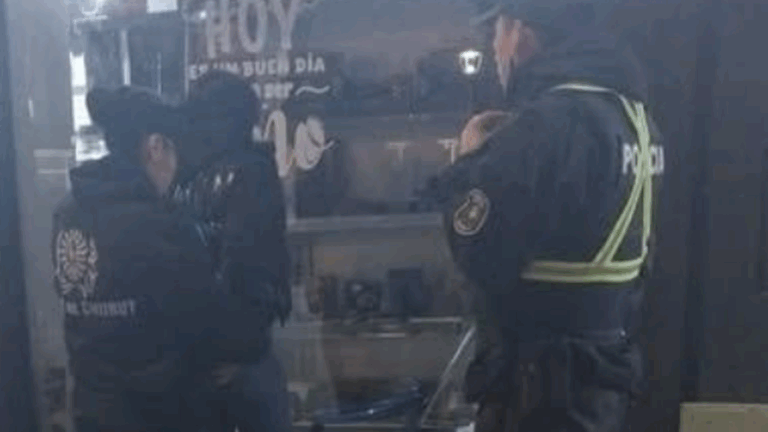 Hurtaron un celular en un local céntrico