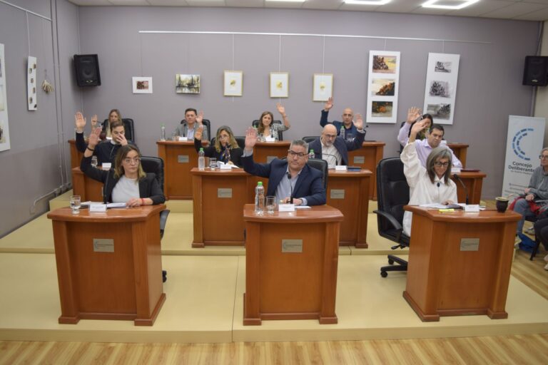 El Concejo de Madryn declaró de utilidad pública la pavimentación de distintas calles