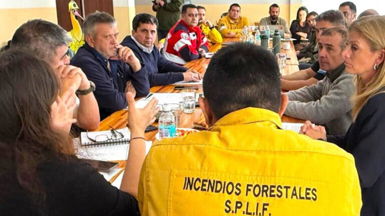 Chubut, Río Negro y Neuquén diseñan plan preventivo contra incendios forestales