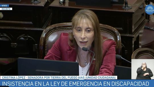 El hit de «Alta coimera» llegó al Senado en la sesión por Discapacidad