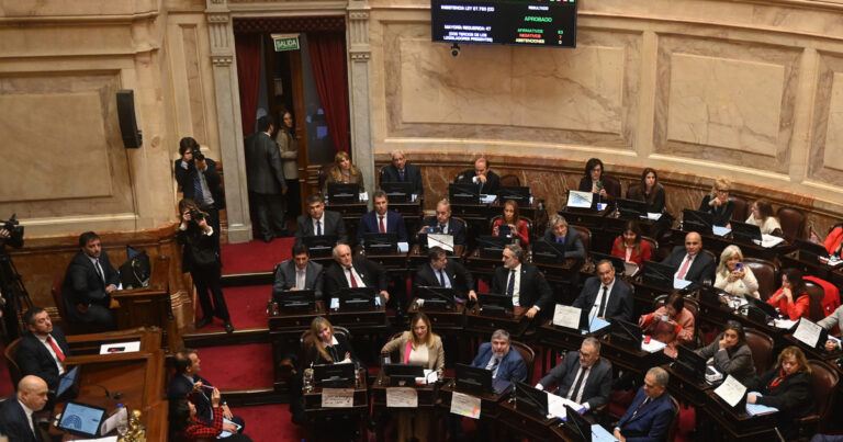 Emergencia en Discapacidad: uno por uno, cómo votaron los senadores el rechazo al veto de Javier Milei