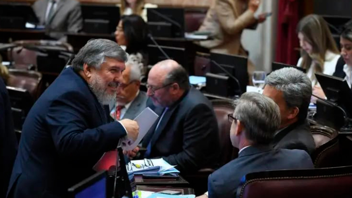 La oposición en el Senado prepara rechazo al veto a la Emergencia en Discapacidad