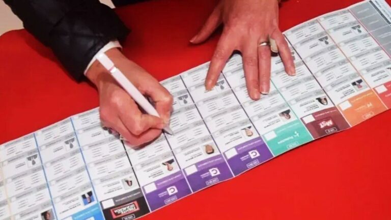 El insólito tuit de un economista libertario que despertó burlas: «Llevá tu propia birome para votar»