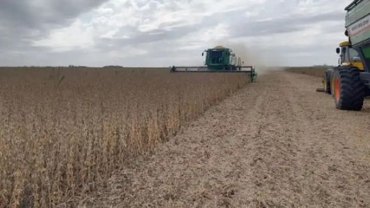 El campo vio positiva la baja de las retenciones: Es una señal del Gobierno de decir ‘son nefastas’