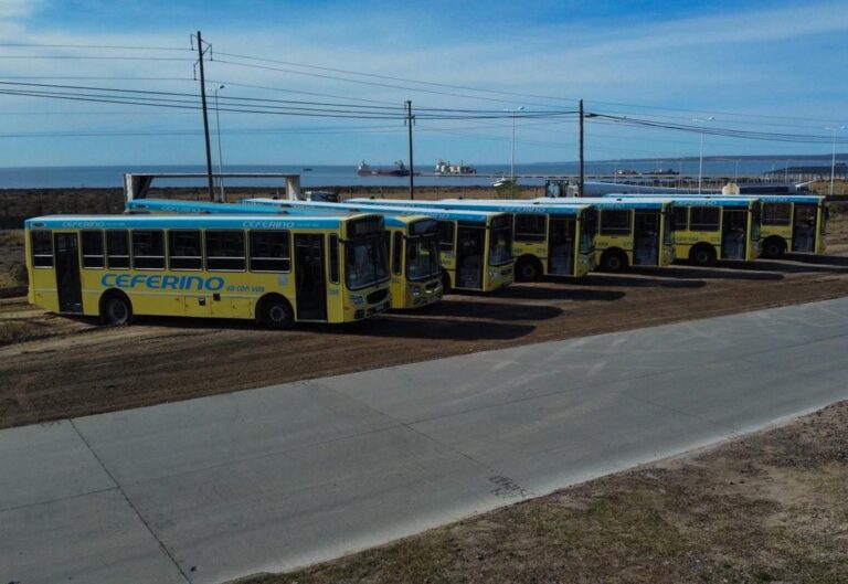 Cambios en el sistema del BECH: cómo acceder al boleto educativo en Puerto Madryn