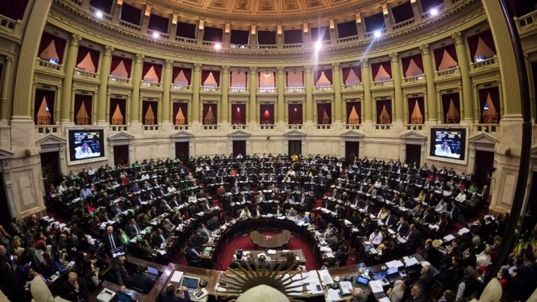 Las declaraciones juradas de los diputados: qué patrimonio informaron los legisladores de Chubut y Santa Cruz