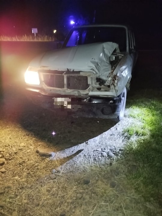 Accidente en Chubut: chocaron contra un caballo en la ruta y se salvaron de milagro
