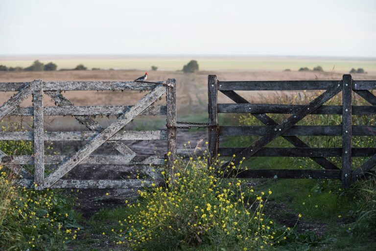 Informe: cayó el peso de los impuestos sobre la renta agrícola, pero sigue siendo más de la mitad