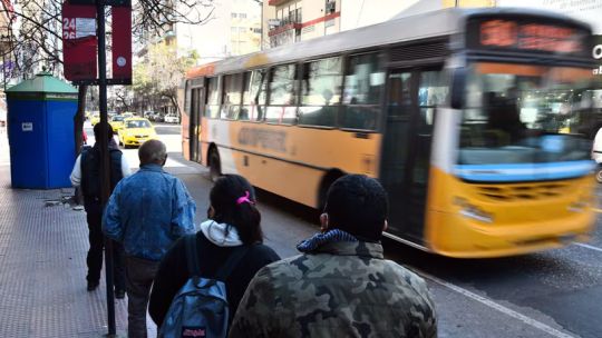 Navidad en Córdoba: cómo será el funcionamiento de los servicios municipales el 24 y 25 de diciembre