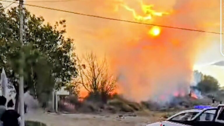 Incendio en un vivero de Rada Tilly
