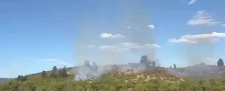 Un incendio forestal de gran magnitud en Cholila moviliza a brigadistas y bomberos