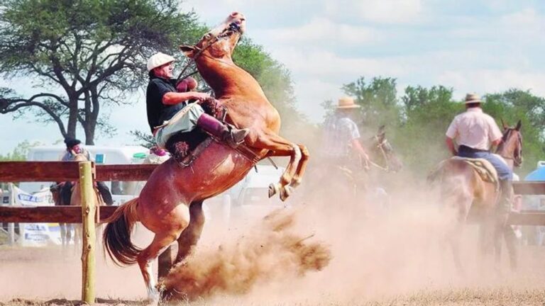 Gualjaina 2026: todo sobre el 4 Festival del Jinete y Folclore y sus atractivos turísticos