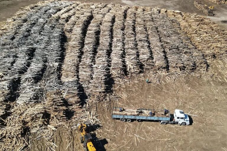 Obras, viviendas y servicios: el impacto territorial de Corfone durante 2025 en Neuquén