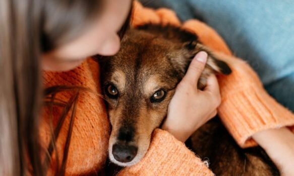 Convocan a una marcha pacífica contra el uso de pirotecnia sonora en Comodoro Rivadavia