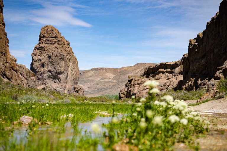 Piedra Parada en 48 horas: trekking, escalada, kayak y restos fósiles