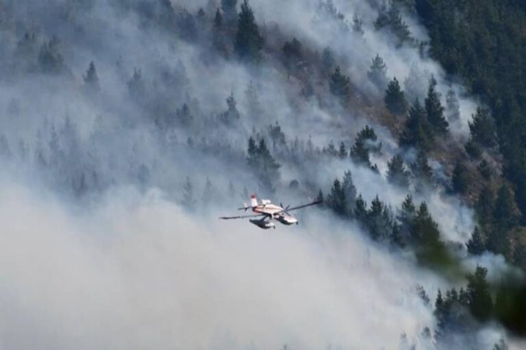 Incendios en la Patagonia: el Gobierno intervino el Parque Nacional Los Alerces tras el avance del fuego