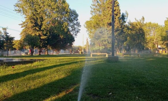 El Municipio retoma el riego con agua cruda en algunos espacios públicos