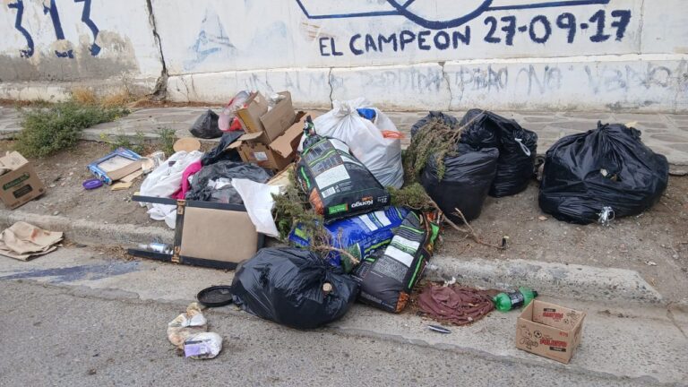 Fuerte presencia de ratas en un barrio de Comodoro por basurales clandestinos: Tiran desde carne podrida hasta perros muertos