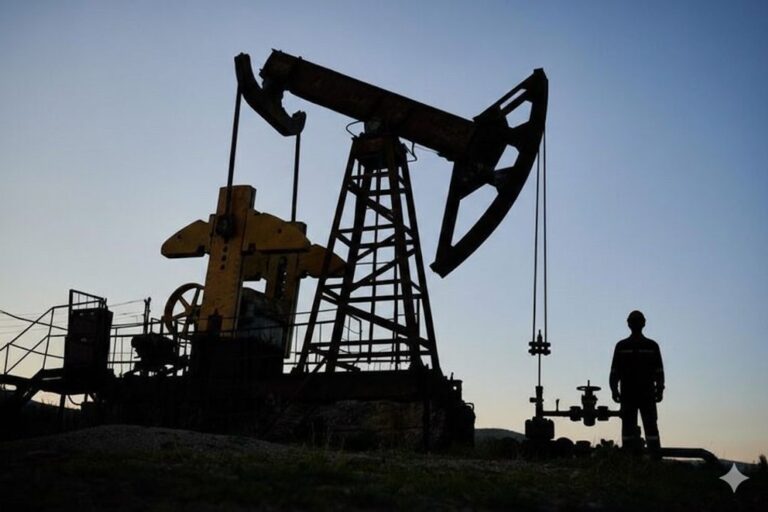 Santa Cruz y Chubut lideran la caída del empleo privado en el país