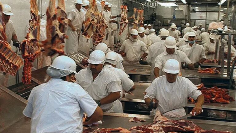 Recesión y crisis: despidos masivos en uno de los principales frigoríficos del país