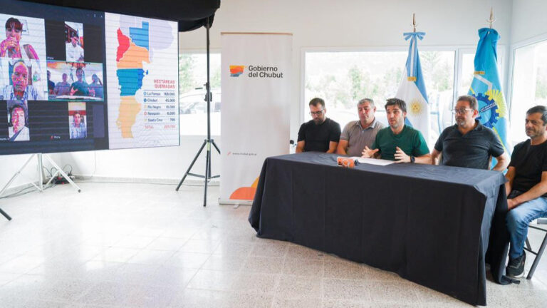 Gobernadores piden declarar emergencia ígnea en Patagonia