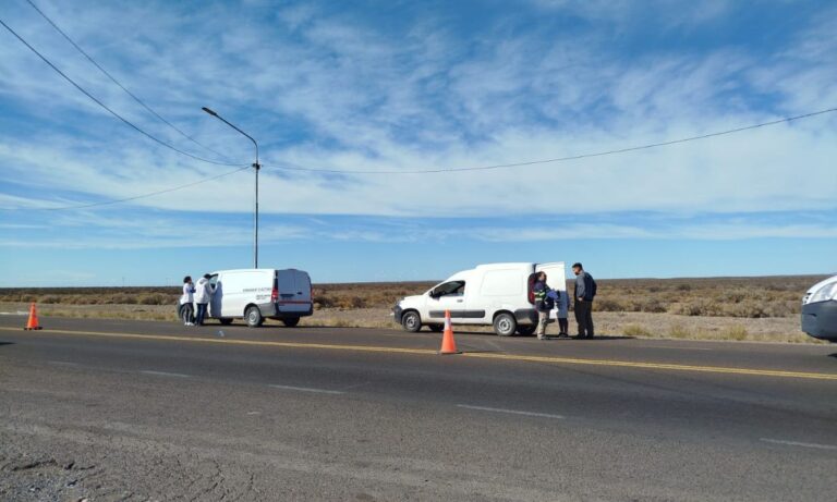 Detectaron transporte irregular de alimentos en controles de ingreso a Rawson