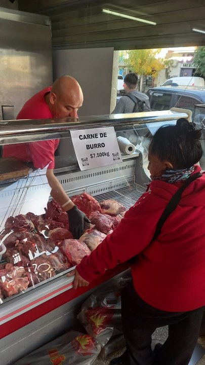 Mostrador de carnicería en Trelew con carne de burro exhibida