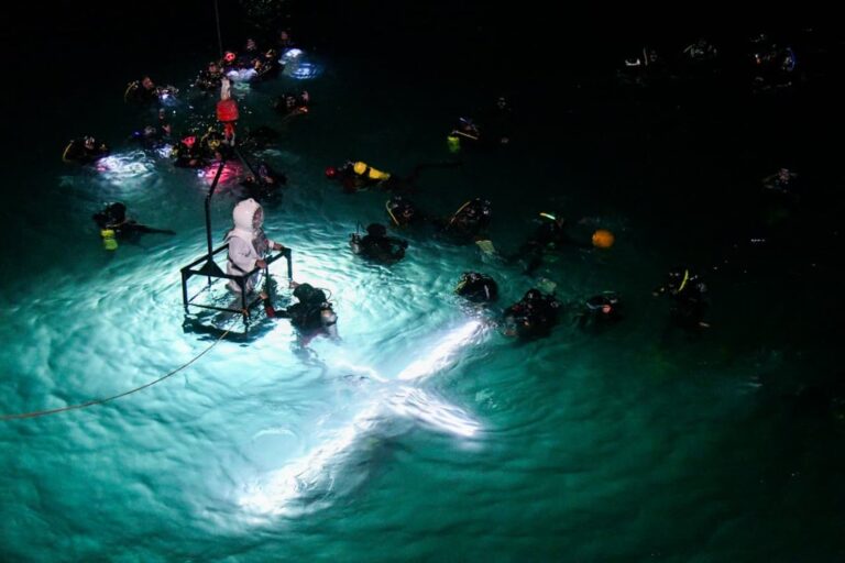 Turistas visitando un área natural protegida en la costa de Chubut durante Semana Santa