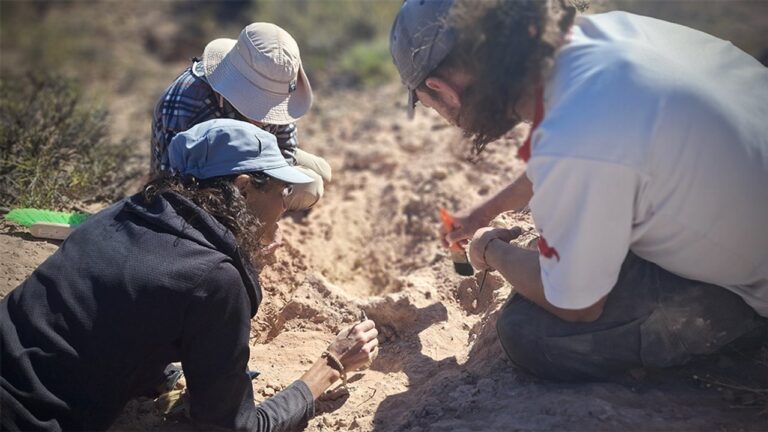 Ilustración de un cocodrilo prehistórico de contextura terrestre en un ambiente patagónico antiguo.