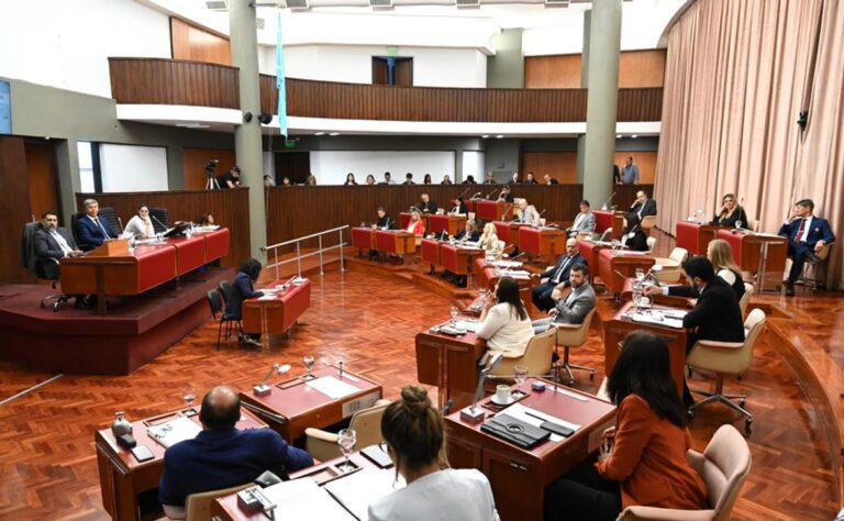 Sesión de la Cámara de Diputados de Chubut donde se trata el requerimiento sobre seguridad en Comodoro Rivadavia
