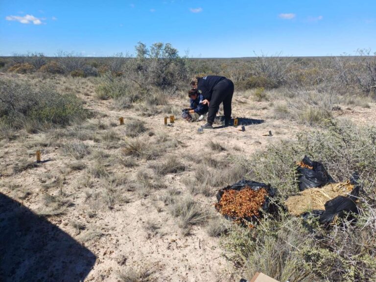 Camino rural en las afueras de Puerto Madryn, Chubut, donde se produjo el hallazgo.