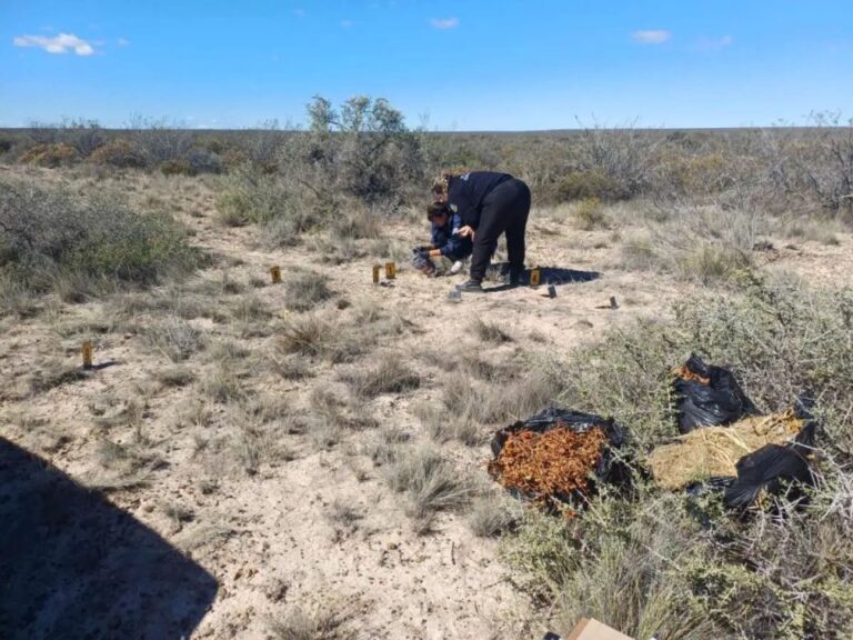 Operativo policial en camino alternativo a la Ruta 3, Puerto Madryn, Chubut.