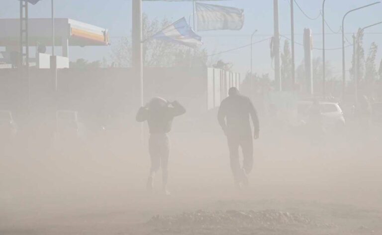 Paisaje nublado y ventoso en Neuquén con árboles movidos por el viento