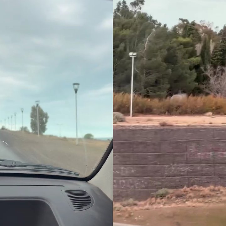 Escena misteriosa en la vía pública de Comodoro Rivadavia