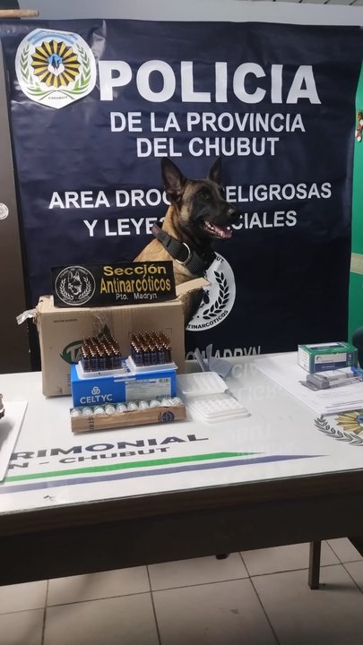 Operativo policial en la Terminal de Ómnibus de Puerto Madryn, Chubut, contra el tráfico de drogas.