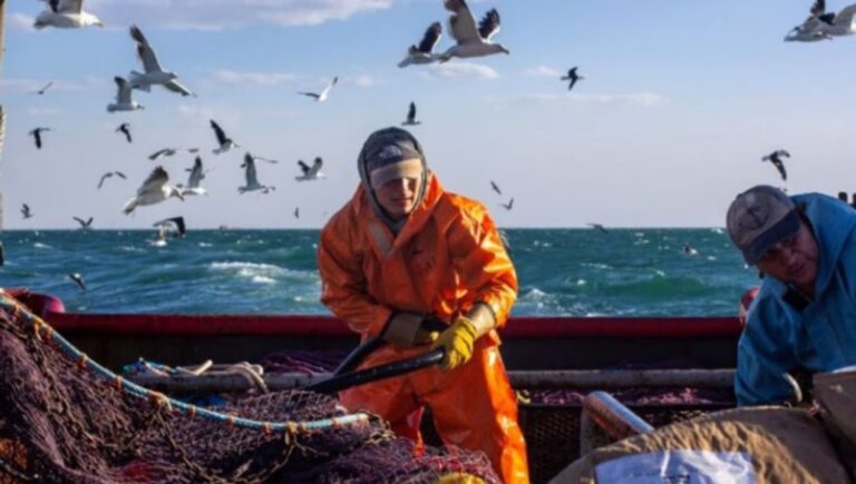 Escena de la serie documental Captura Salvaje sobre la pesca del langostino en Chubut